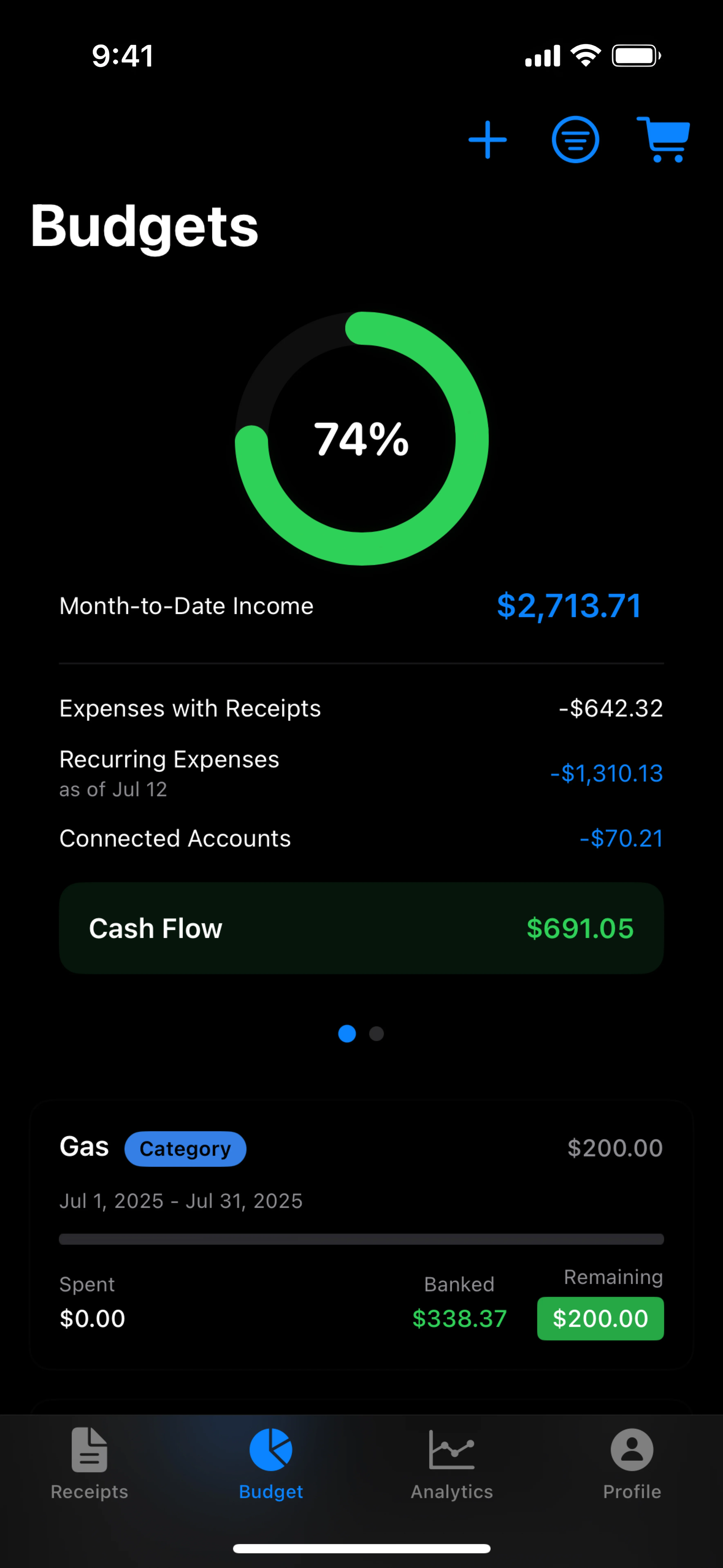 Budget management interface